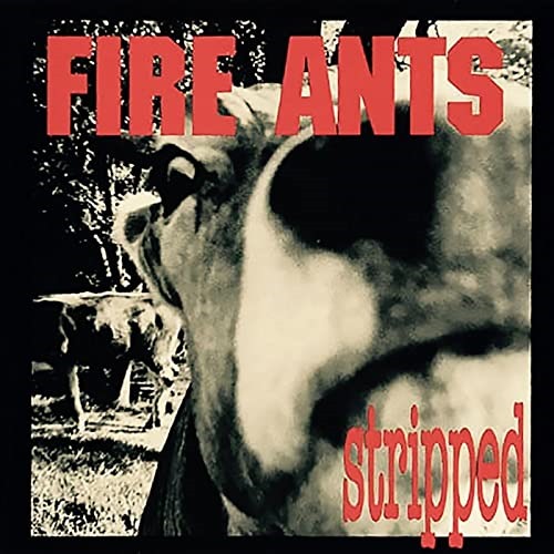 RECORD NICHE CLASSIC ROCK AND GRUNGE RECORDINGS: Read the full story about legendary Seattle grunge movement pioneers ‘The Fire Ants’ and their radical, ahead of it’s time, rocking classic release ‘Stripped’